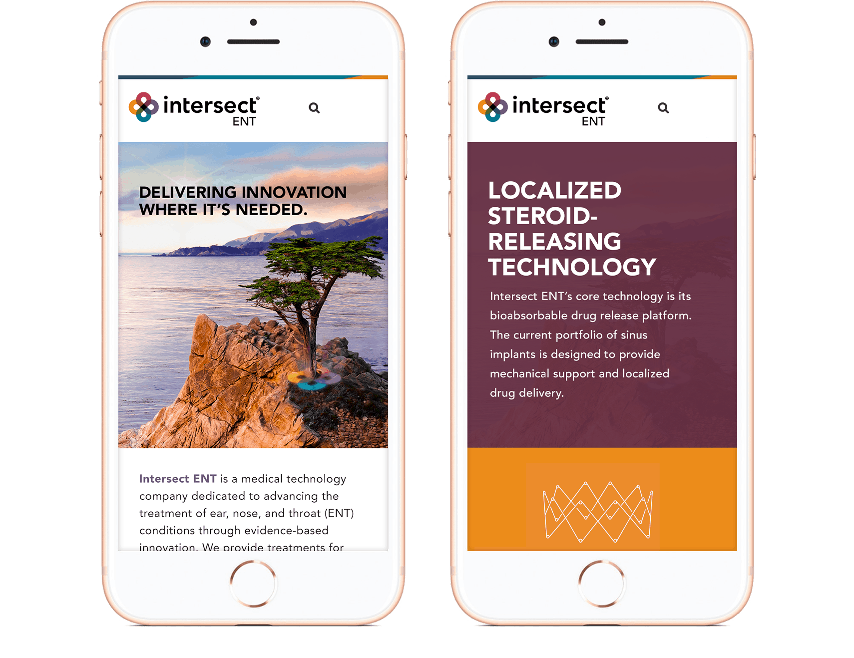 Intersect mobile experience
