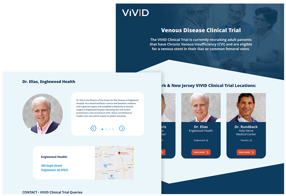 2 page examples of VIVID website design
